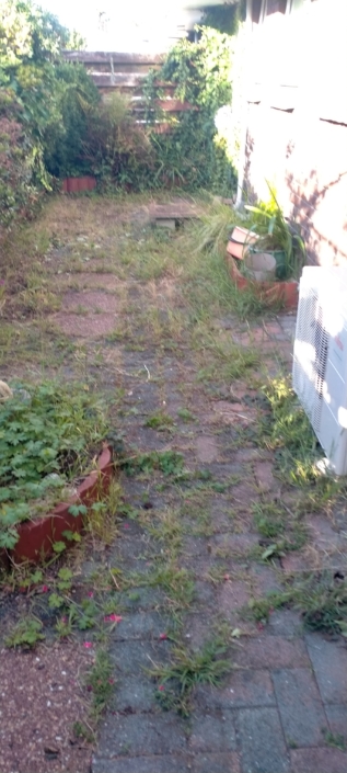 Paving before Papatoe